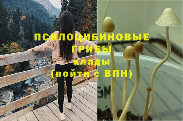 не бодяженный Кукмор