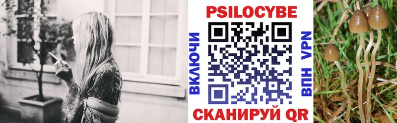 Галлюциногенные грибы мухоморы  Купить закладки  Кингисепп 